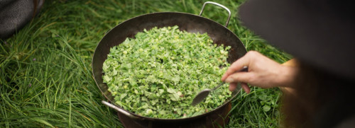 Stage cuisine de plantes sauvages - Parc Saint Cloud