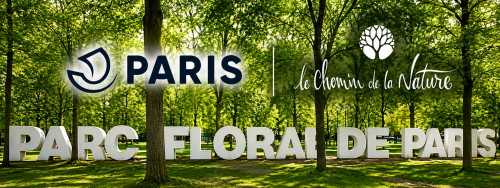Balade plantes sauvages pour le village botanique de la ville de Paris