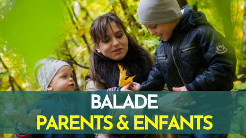 Balade parents-enfants : Plantes sauvages et champignons