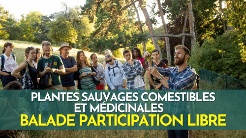 Plantes sauvages comestibles et médicinales - Initiation