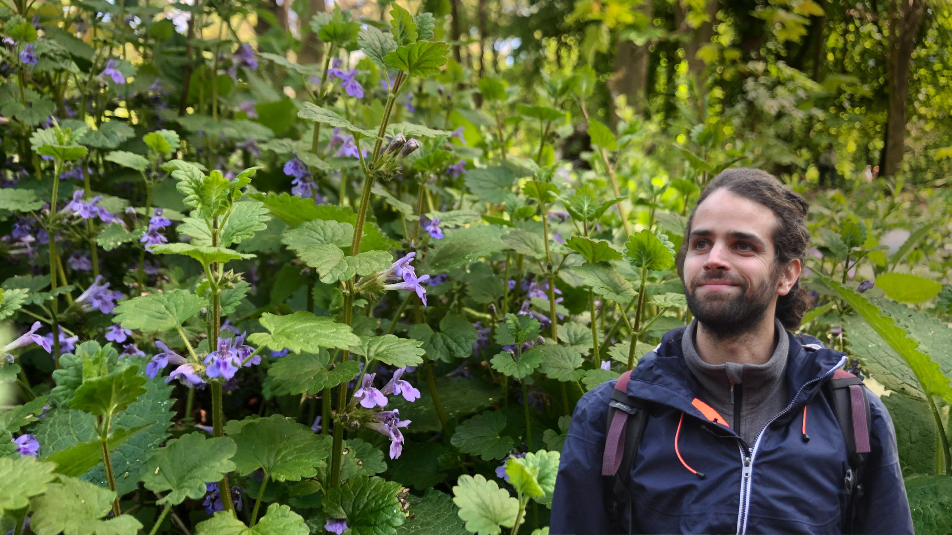 STAGE PLANTES SAUVAGES