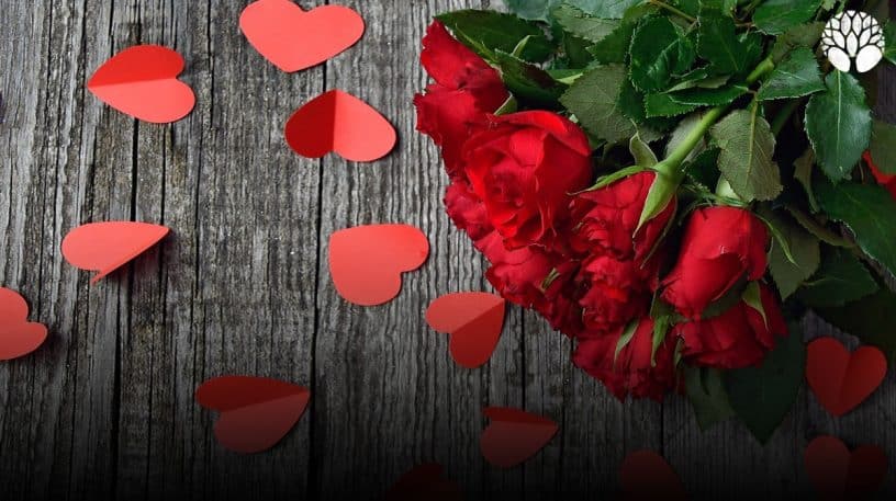 La rose de Saint Valentin, un cadeau empoisonné ?