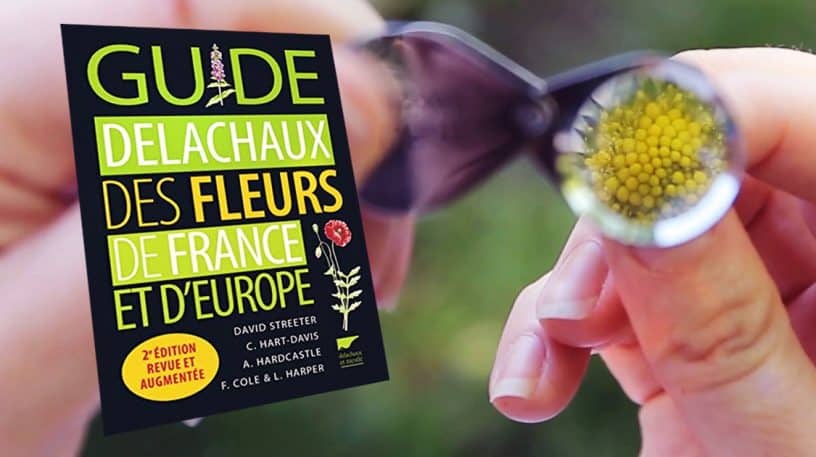 Guide Delachaux : identifier les fleurs sauvages