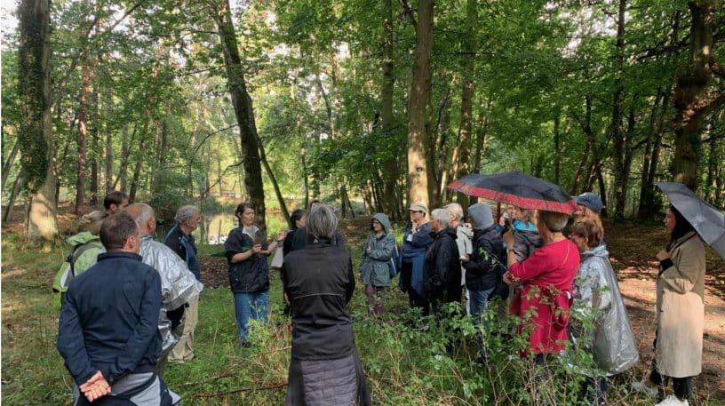 S'aiment et sèmeront : un festival tout en verdure !