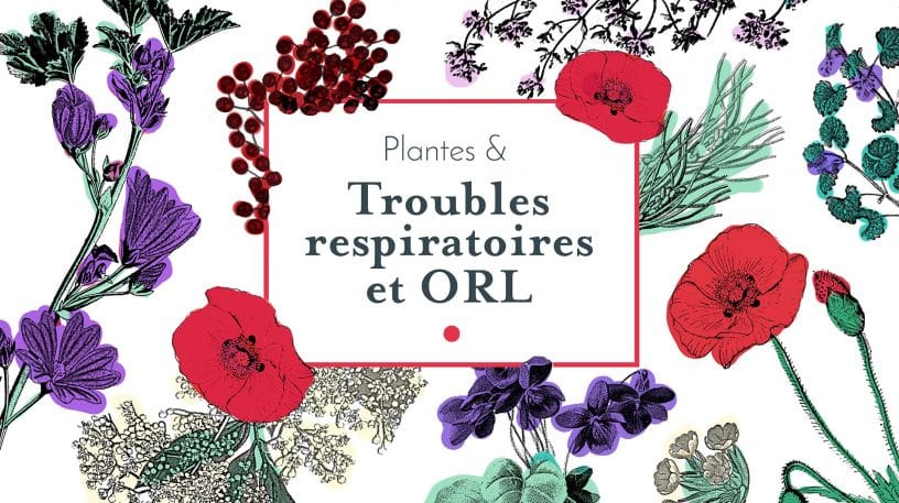 Donnez un petit coup de main à votre système respiratoire grâce aux plantes