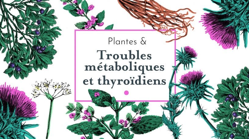 Les plantes pour mieux équilibrer le système hormonal