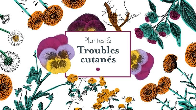 Problèmes de peau : les vertus des plantes