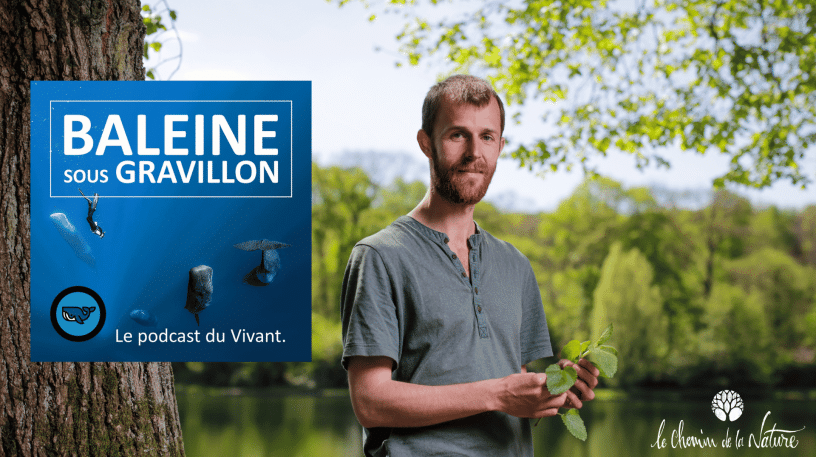 Le Chemin de la Nature au micro du Podcast "Baleine sous gravillon"