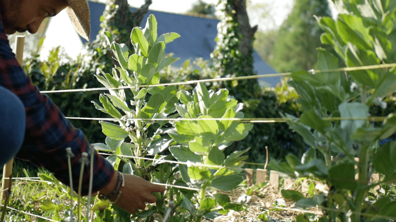 Dimitri nous partage son expérience de la permaculture