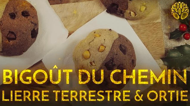 Recette de Noël aux orties et au lierre terrestre