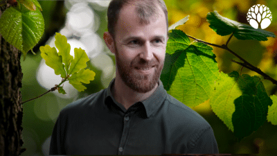 Les jeunes feuilles d’arbres comestibles au printemps