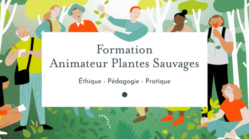 Devenez animateur plantes sauvages avec Le Chemin de la Nature