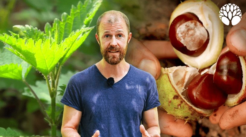 Comment vérifier les informations sur les plantes médicinales ?