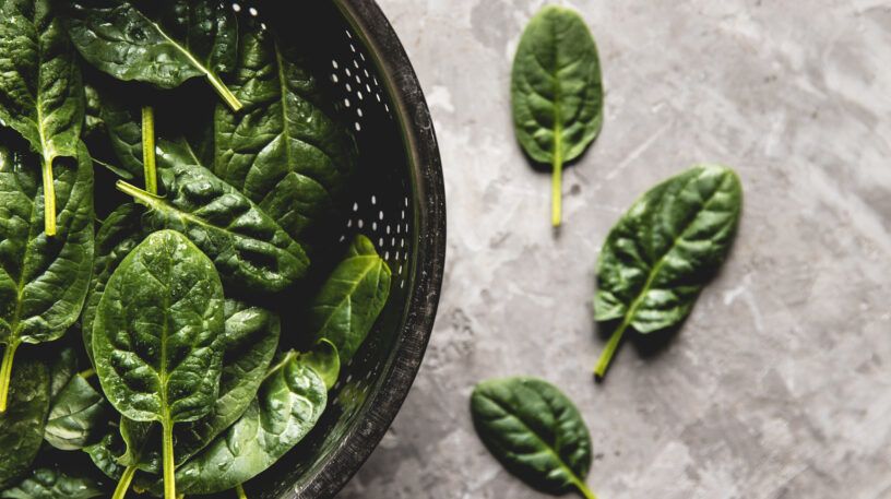 Pourquoi cueillir des plantes sauvages quand on a des épinards au supermarché ?