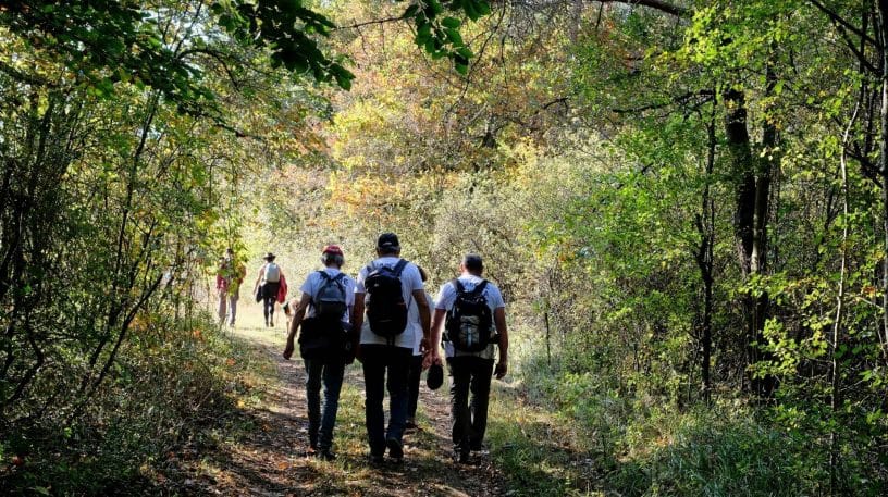 Une autre forêt est possible