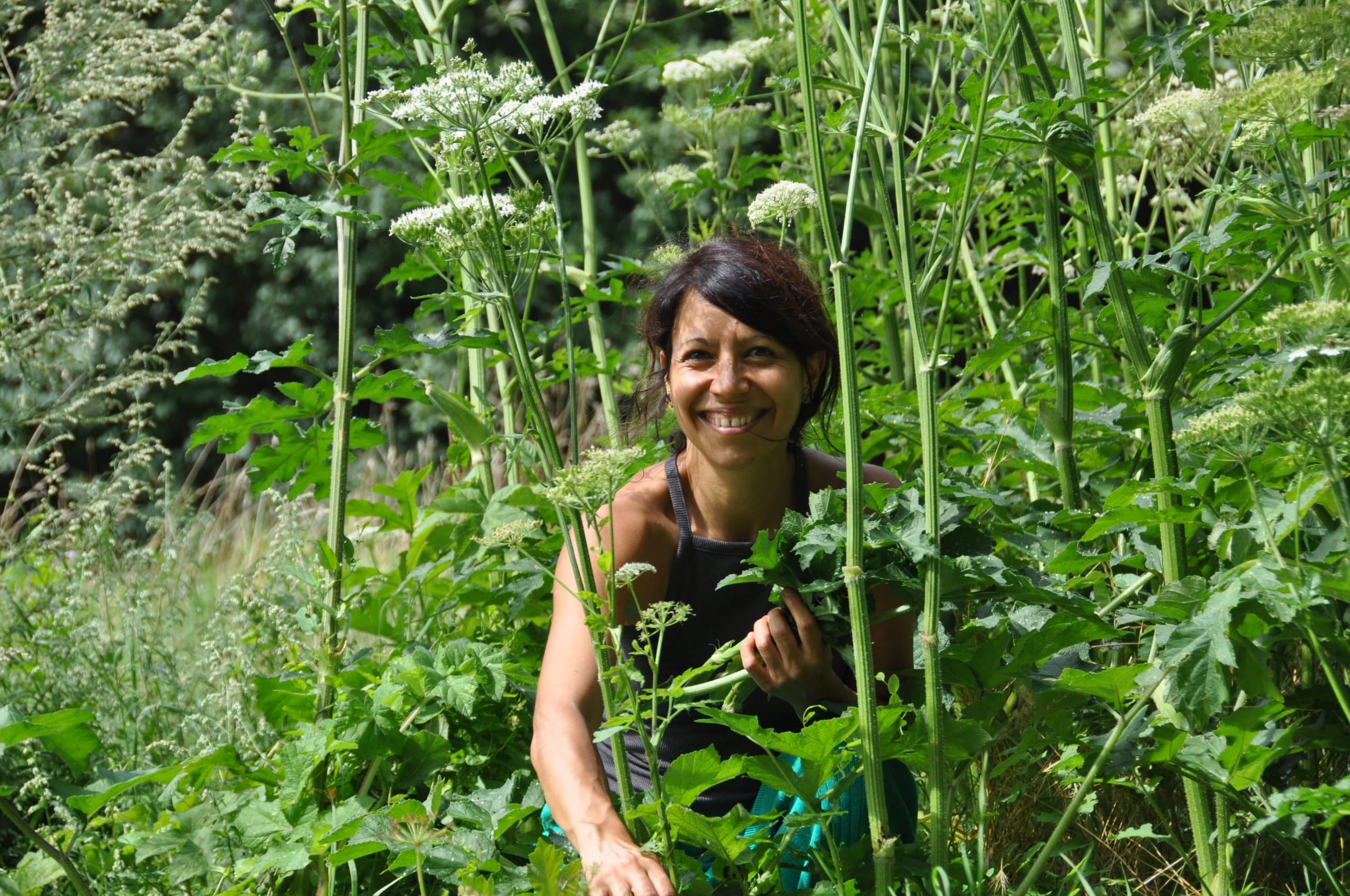 Natalia Santos, plantes sauvages comestibles, cuisine sauvage, Le Chemin de la Nature